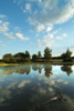 New Forest Pond